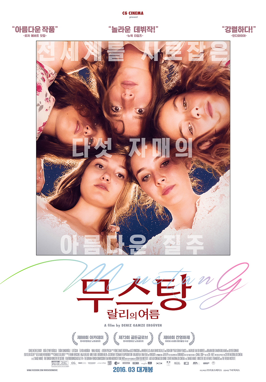 ������: ������ ����